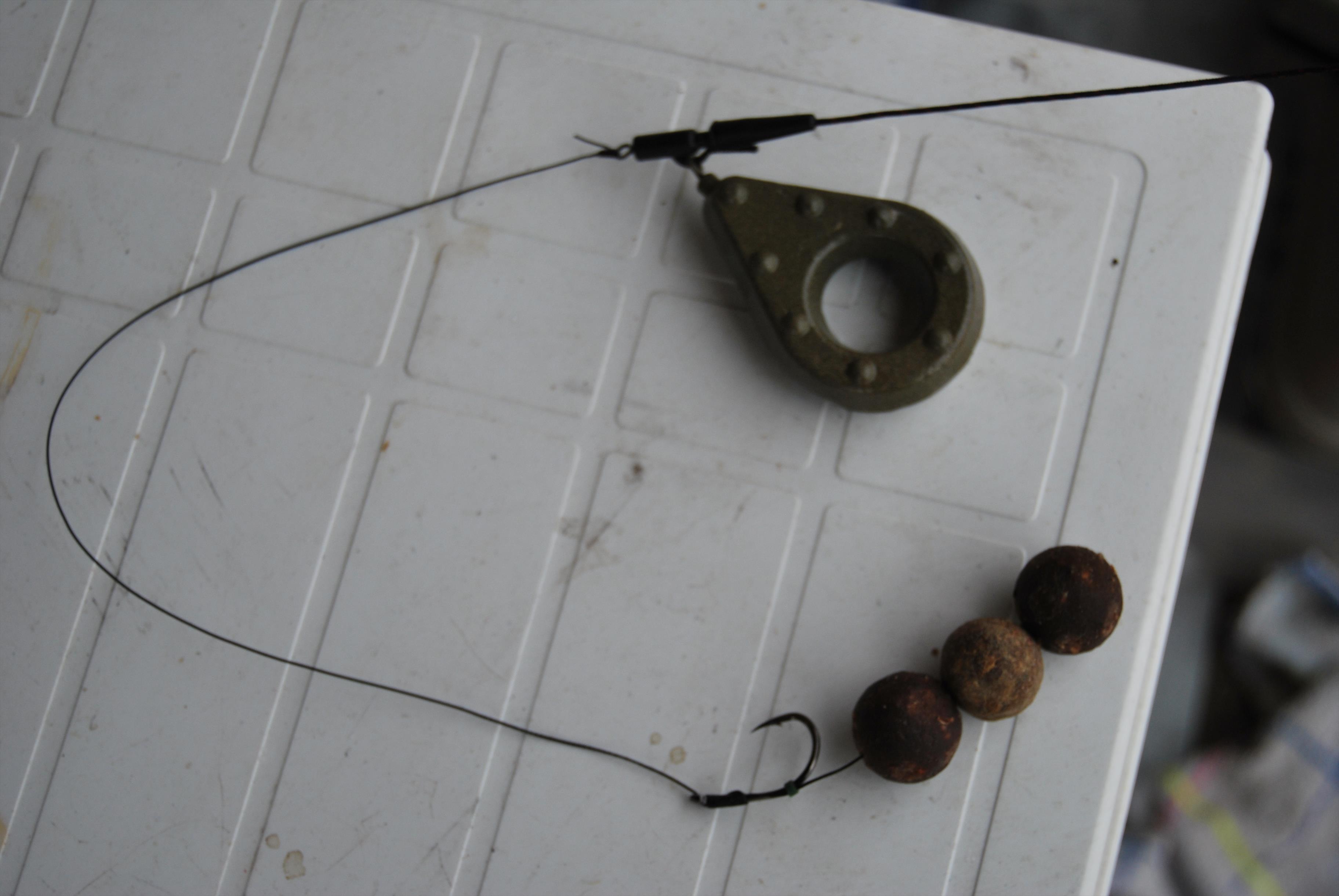 Ecsed - DSC_0398.JPG